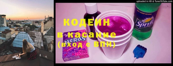 мдпв Ельня