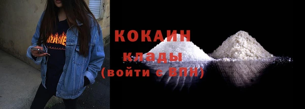 индика Губаха
